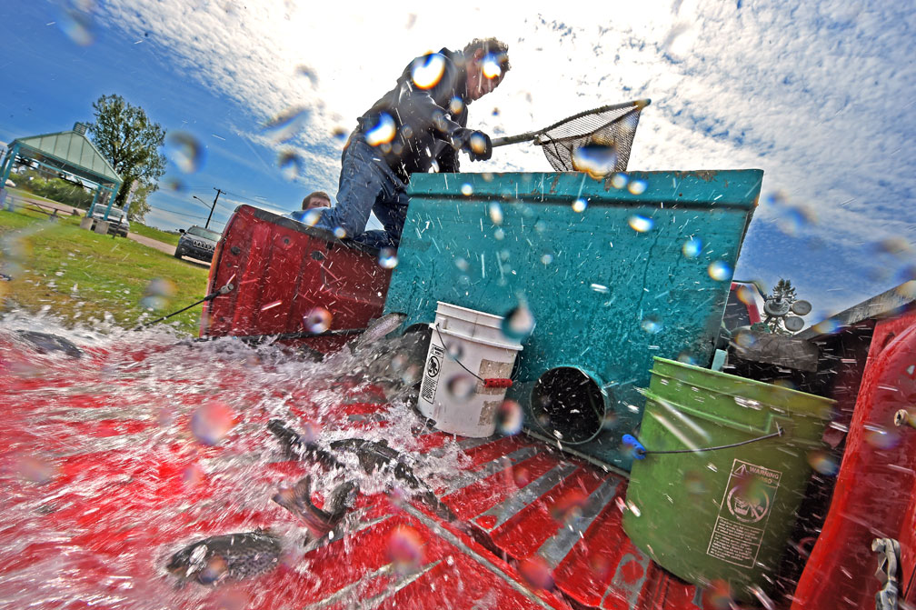 Aquatic Research Lab lends a hand with Sault trout pond