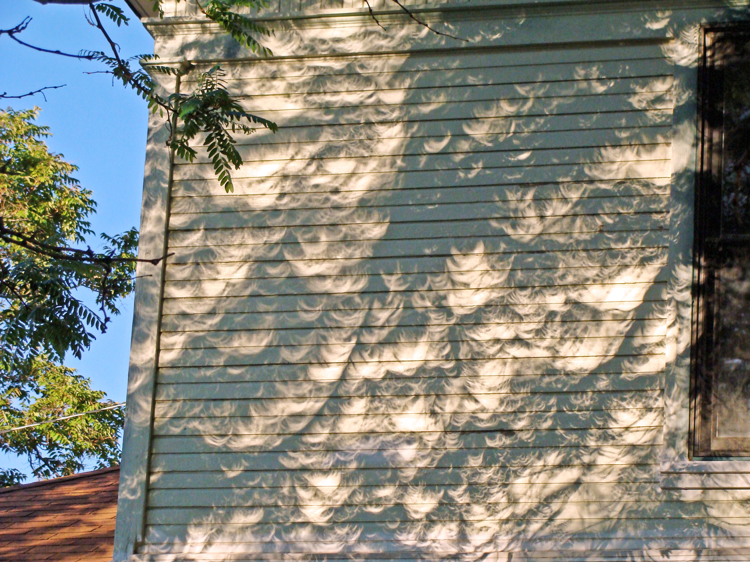 Solar Eclipse Crescents