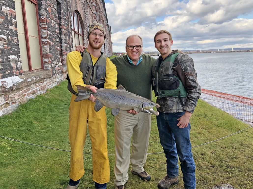 Atlantic Salmon, Hanley