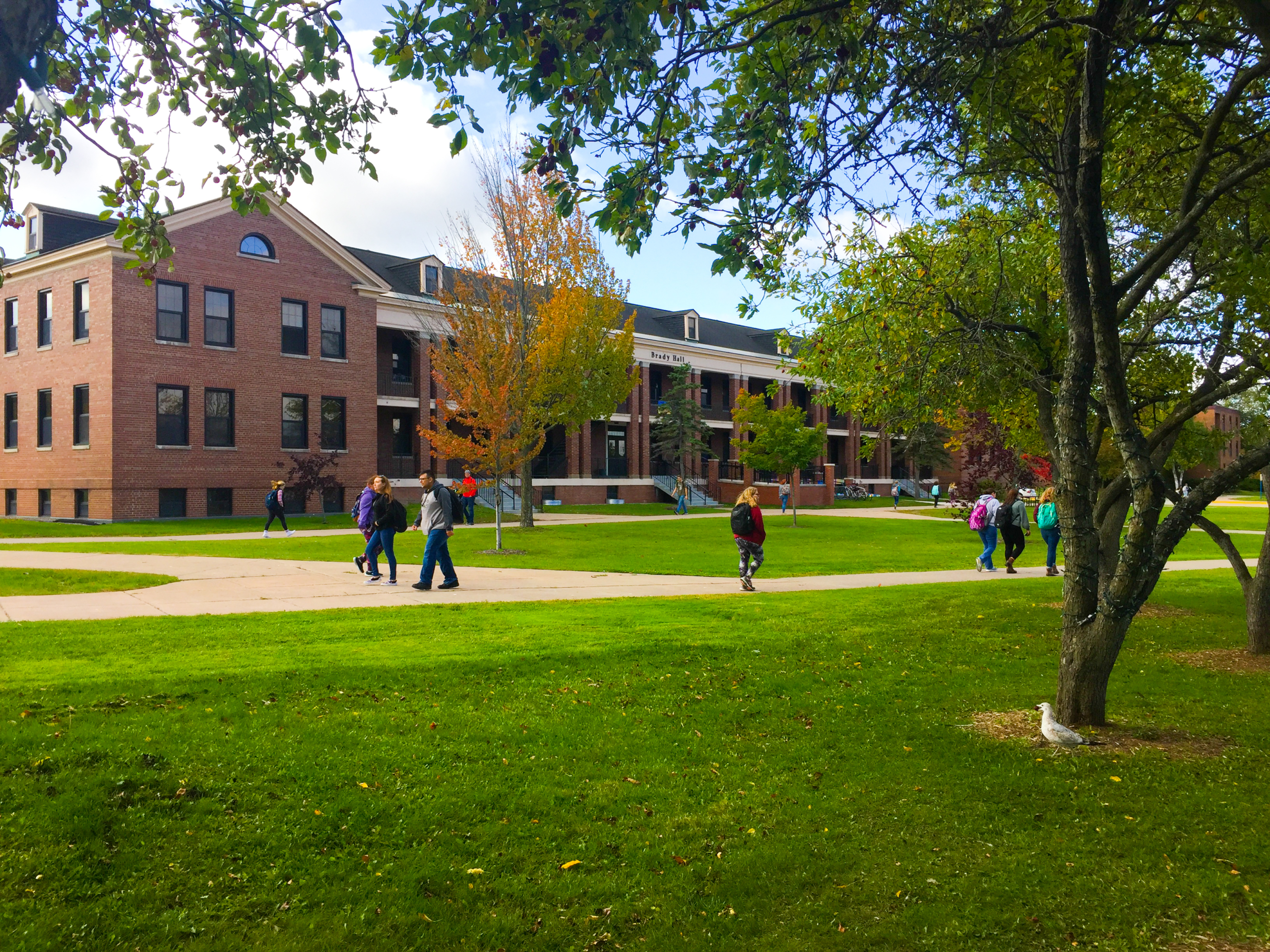 Fall campus scenic, students walking on campus in the fall