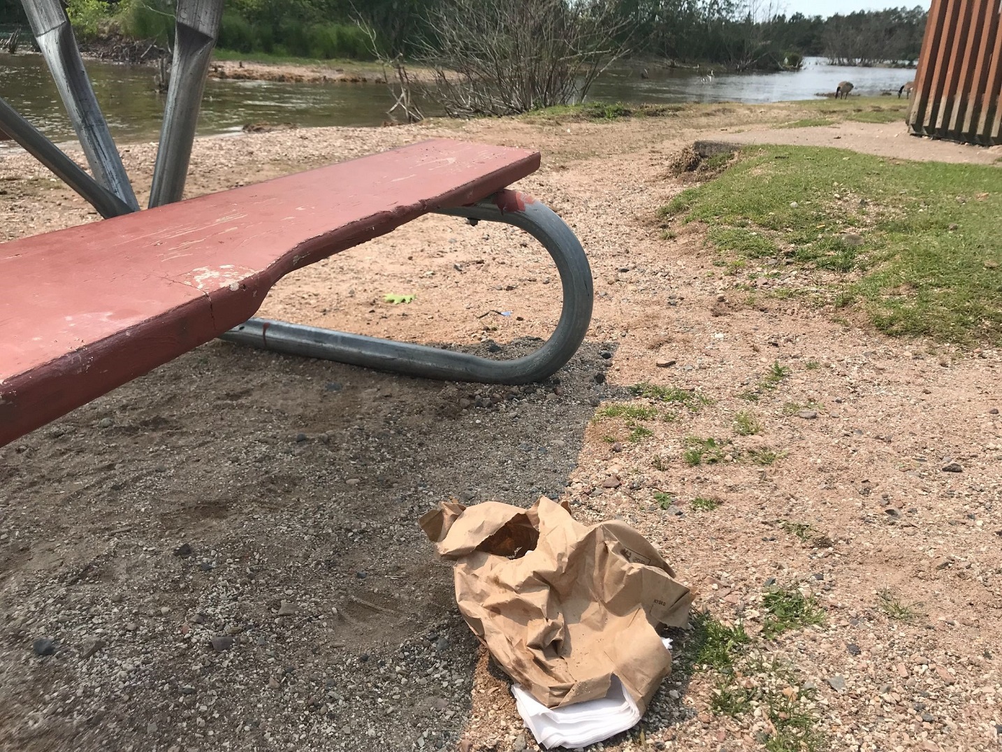 shoreline litter