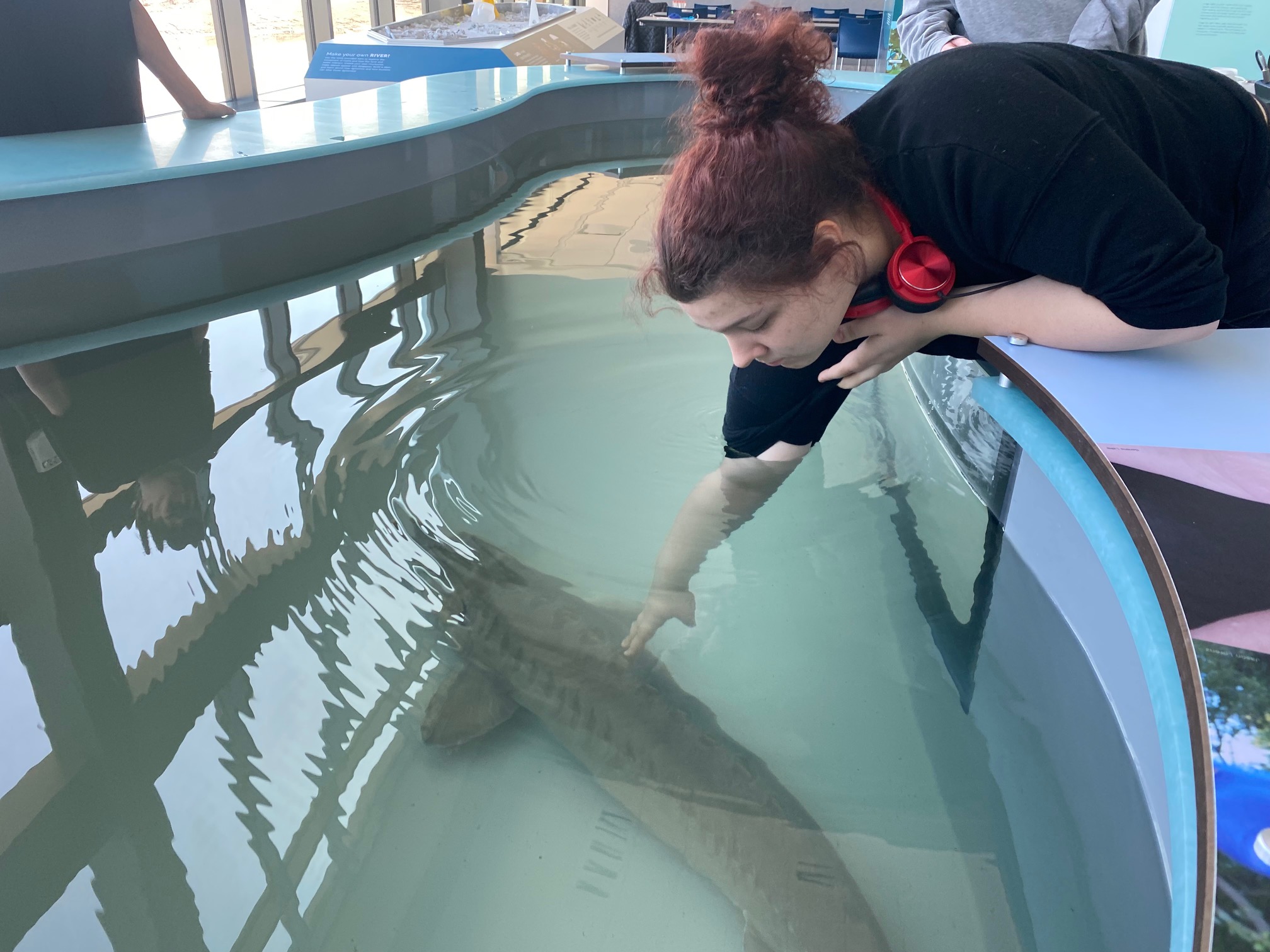 A visitor pets a sturgeon.