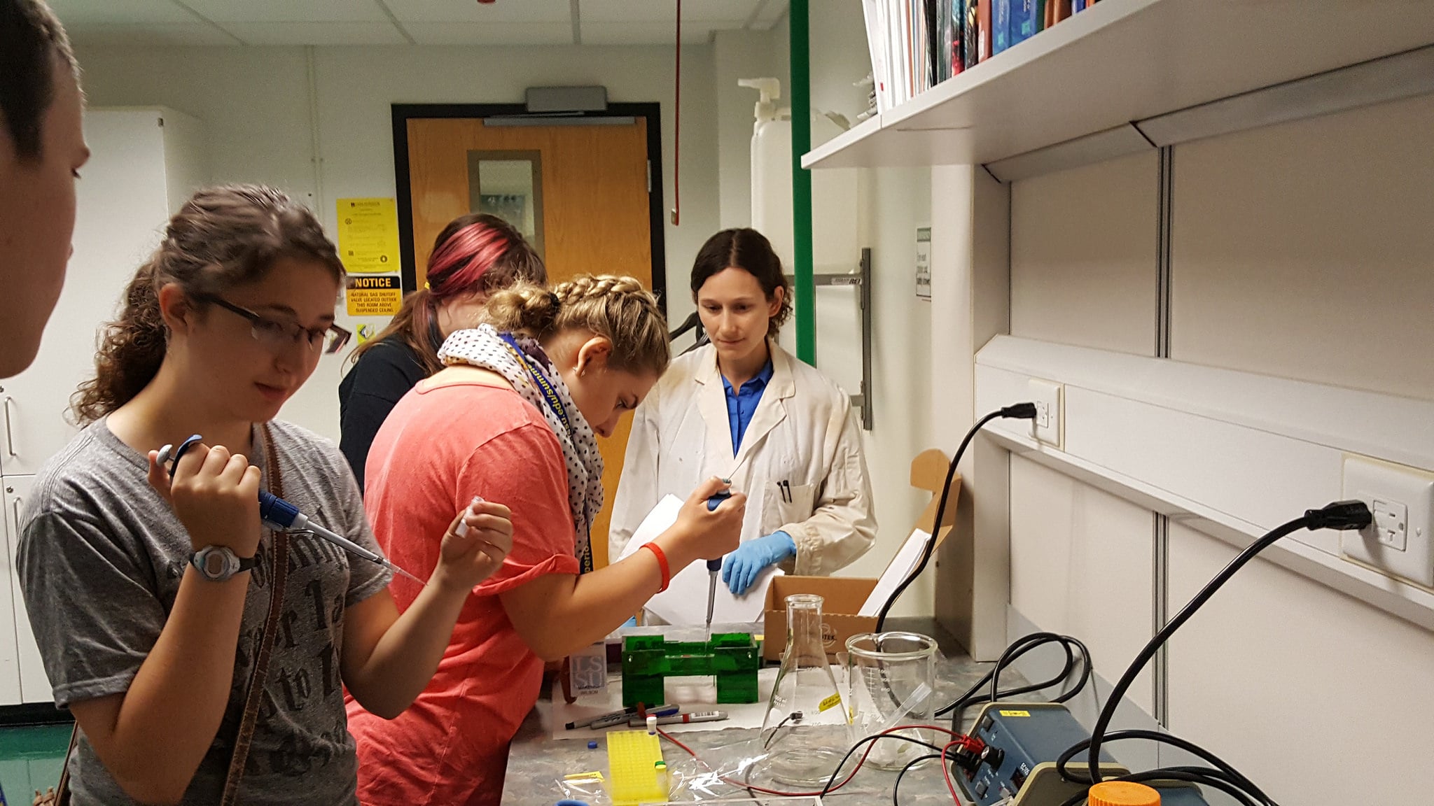 Prepping An Immunoelectrophoresis Apparatus